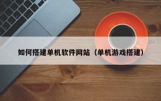 武汉如何搭建单机软件网站（单机游戏搭建）